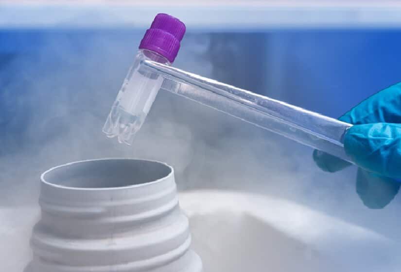 safe-egg-freezing-treatment-india-curespots-big-0