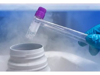 safe-egg-freezing-treatment-india-curespots-small-0