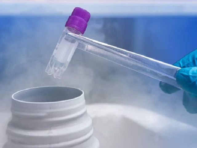 safe-egg-freezing-treatment-india-curespots