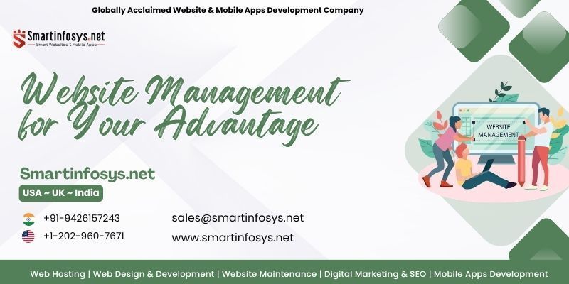 website-management-for-your-advantage-big-0