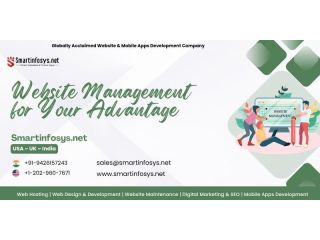website-management-for-your-advantage-small-0