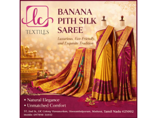 the-banana-pith-silk-saree-small-0
