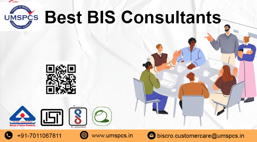 bis-consultant-in-sector-132-noida-big-0