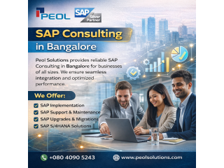 sap-consulting-in-bangalore-small-0