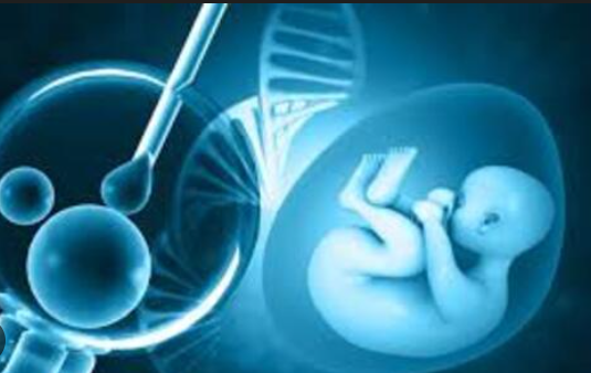 ivf-center-in-amritsar-smart-selection-guide-big-0
