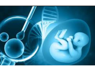ivf-center-in-amritsar-smart-selection-guide-small-0