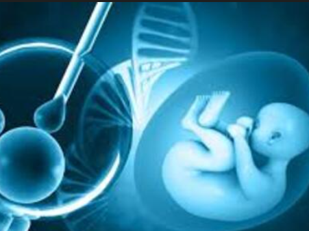 ivf-center-in-amritsar-smart-selection-guide