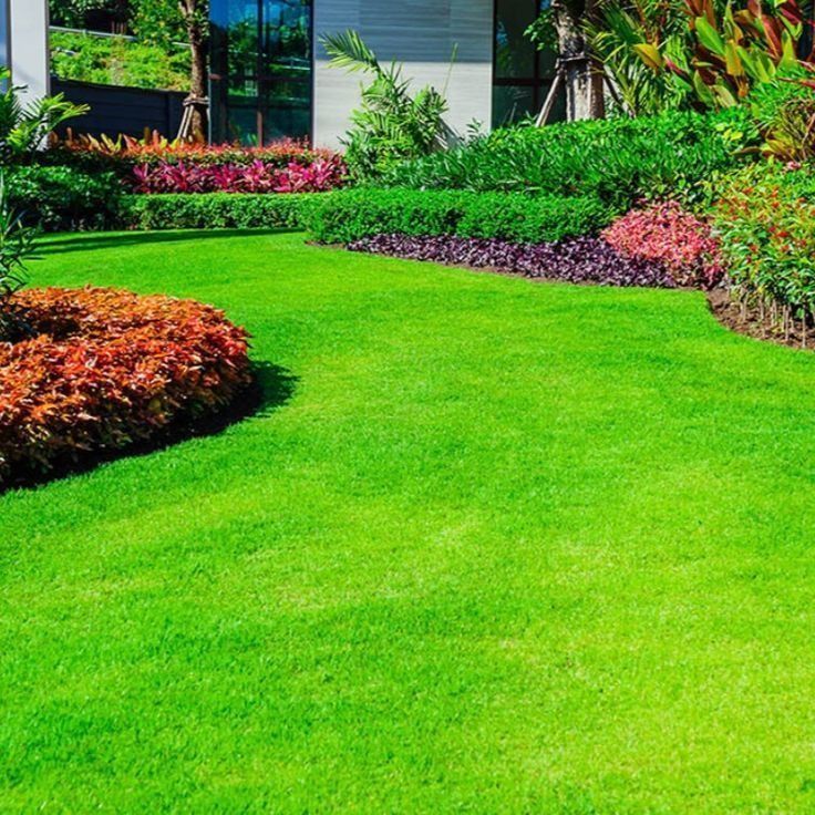 natural-grass-distributor-in-delhi-for-fresh-and-lush-big-0