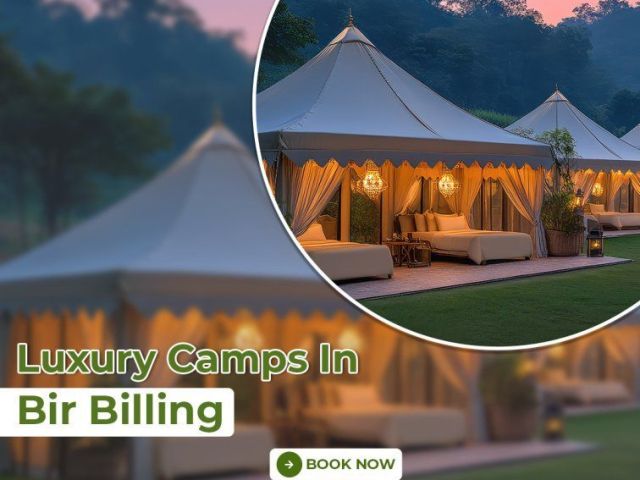 luxury-camps-in-bir-billing-for-premium-glamping
