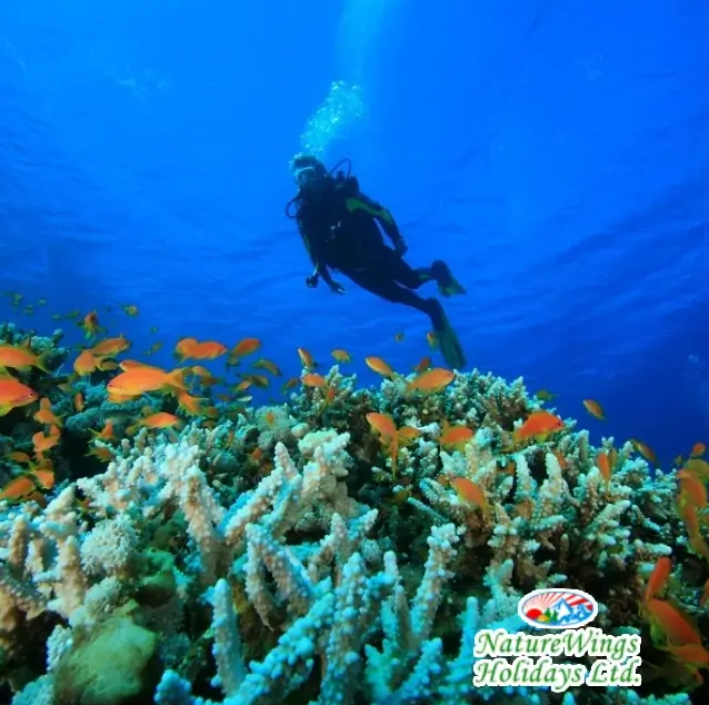 andaman-package-tour-from-kolkata-with-exotic-beach-experiences-big-4
