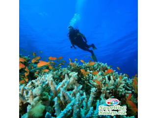 andaman-package-tour-from-kolkata-with-exotic-beach-experiences-small-4