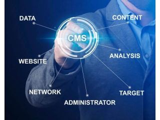 transform-your-website-with-expert-cms-development-services-small-0
