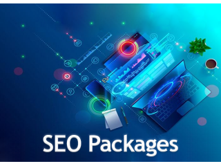 choose-the-best-seo-packages-to-dominate-search-results-fast-small-0