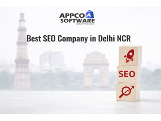 best-seo-company-in-delhi-ncr-appco-software-small-0