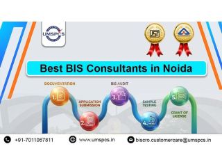 bis-consultant-sector-132-in-noida-small-0