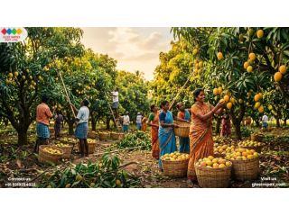 trusted-mango-pulp-exporter-in-india-for-bulk-supply-small-0