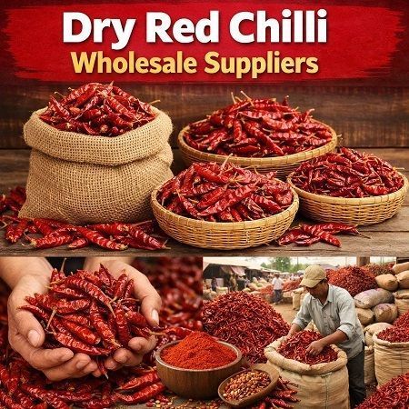 dry-red-chilli-wholesale-suppliers-big-0