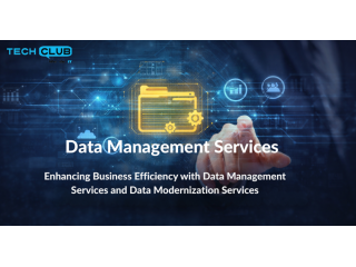 data-modernization-services-to-upgrade-legacy-systems-small-0
