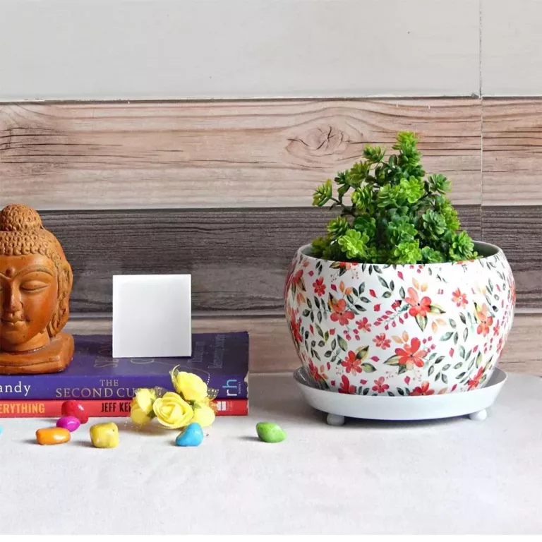 elevate-your-interiors-with-wallmantra-indoor-plant-pots-big-0