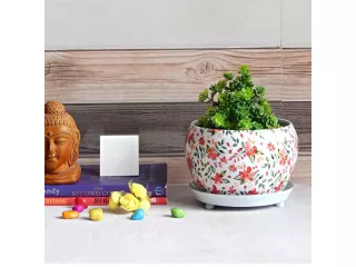elevate-your-interiors-with-wallmantra-indoor-plant-pots-small-0