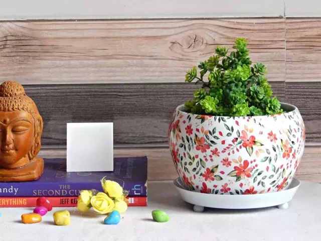 elevate-your-interiors-with-wallmantra-indoor-plant-pots