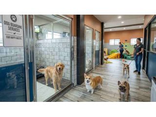 dog-boarding-services-in-bhopal-small-0