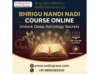 bhrigu-nandi-nadi-course-online-unlock-deep-astrology-secrets-small-0