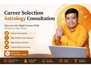 book-professional-career-selection-astrology-consultation-online-small-0