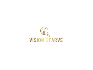 affordable-web-design-company-in-laxmi-nagar-vision-starve-small-0