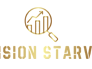 affordable-web-design-company-in-laxmi-nagar-vision-starve