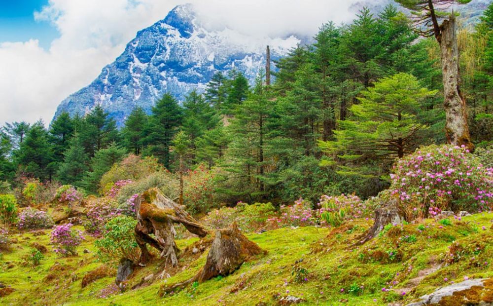 bagdogra-to-sikkim-tour-packages-big-2