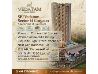 spj-vedatam-sector-14-gurgaon-small-0