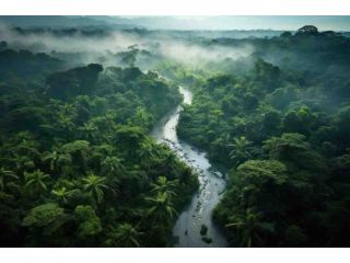 start-your-brazil-journey-today-enquire-right-now-small-2