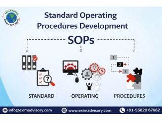 standard-operating-procedures-development-exim-advisory-small-0