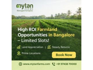 high-growth-managed-farm-investments-bangalore-opportunities-small-0