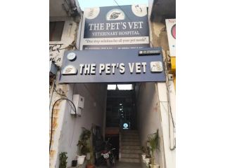 the-pets-vet-veterinary-hospital-small-0