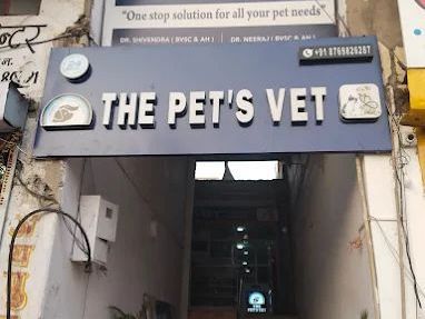 the-pets-vet-veterinary-hospital
