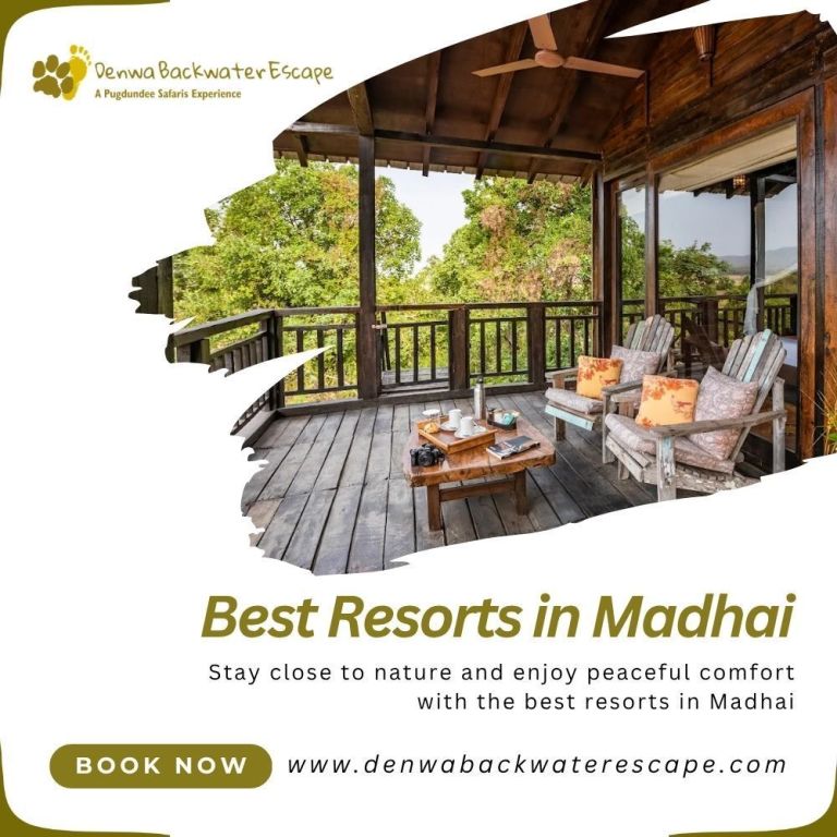 top-nature-resorts-in-madhai-for-wildlife-lovers-big-0