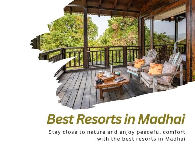 top-nature-resorts-in-madhai-for-wildlife-lovers