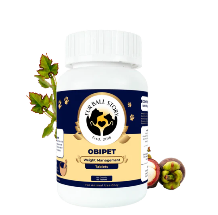 your-dog-doesnt-need-a-diet-it-needs-a-reset-big-0