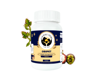 your-dog-doesnt-need-a-diet-it-needs-a-reset-small-0
