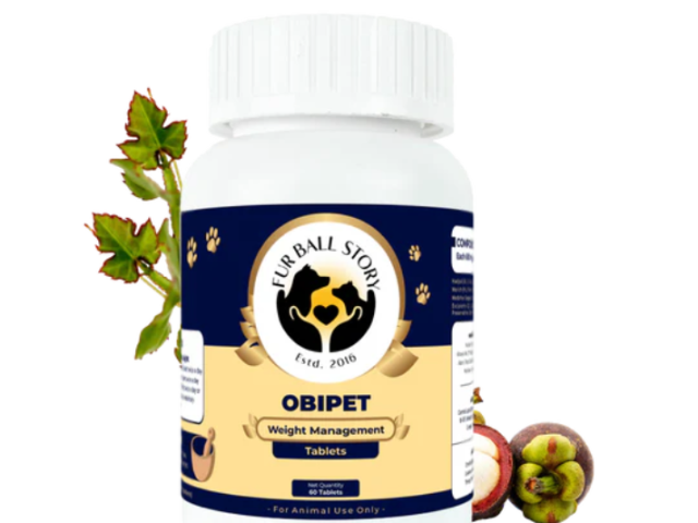 your-dog-doesnt-need-a-diet-it-needs-a-reset