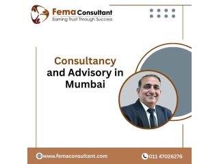 consultancy-and-advisory-in-mumbai-ca-manoj-k-pahwa-small-0