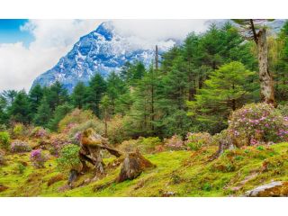 sikkim-darjeeling-tour-package-from-mumbai-small-2