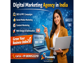 best-digital-marketing-agency-in-india-promodaddy-digital-small-0