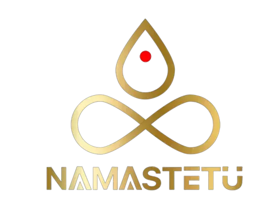namastetu-india-top-digital-marketing-company-in-indore-india-big-0