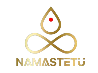 namastetu-india-top-digital-marketing-company-in-indore-india-small-0