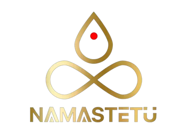 namastetu-india-top-digital-marketing-company-in-indore-india