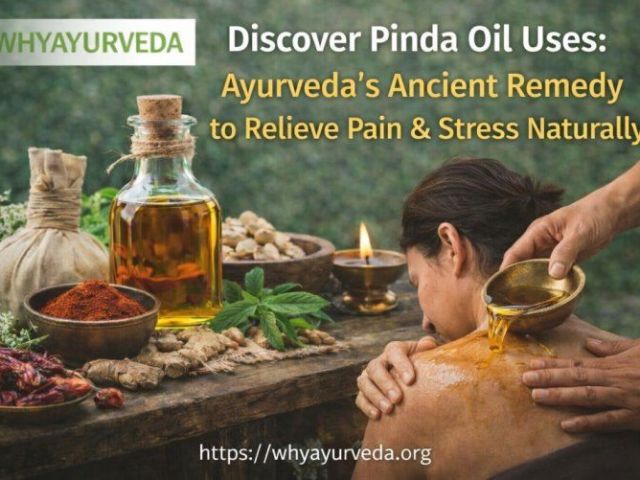 best-pinda-taila-uses-for-pain-relief-skin-care-inflammation