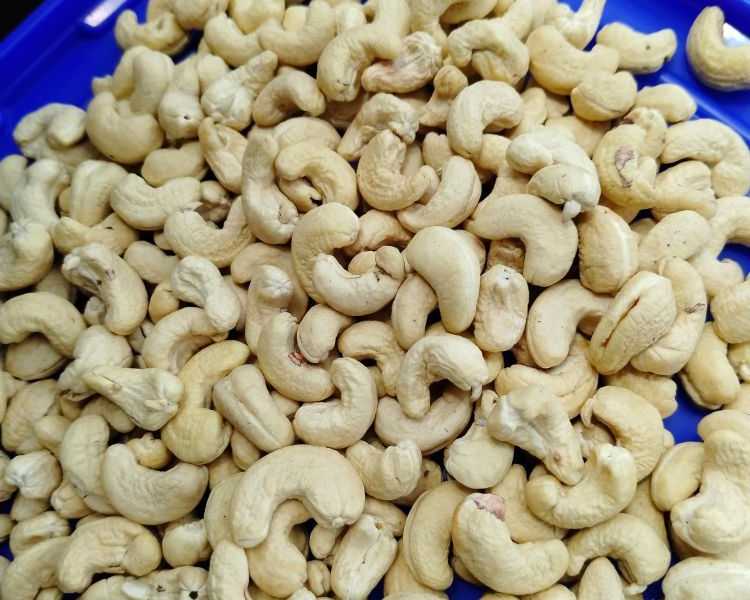 wholesaler-distributor-in-cashew-nuts-at-delhi-narela